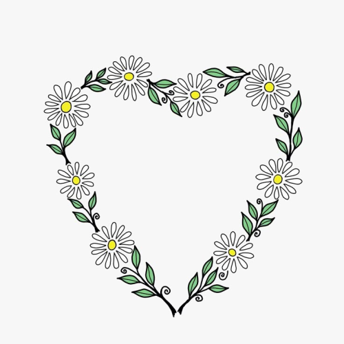 image_1771541282.png
