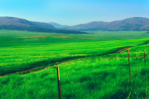 image_1771551695.png