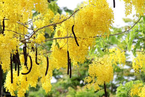 image_1772759806.png
