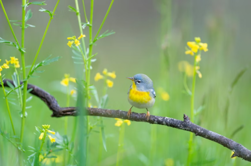 image_1773962170.png