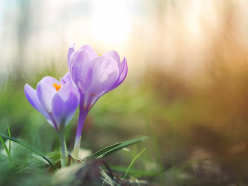 image_1774820720.png