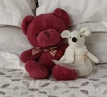 image_1775215222.png