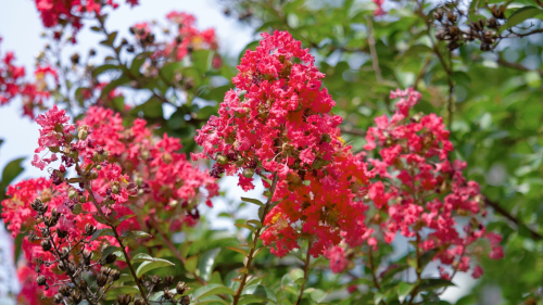 image_1775779916.png