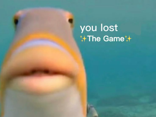 image_1775955572.png