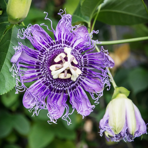 image_1776398731.png