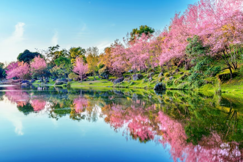 image_1777240547.png