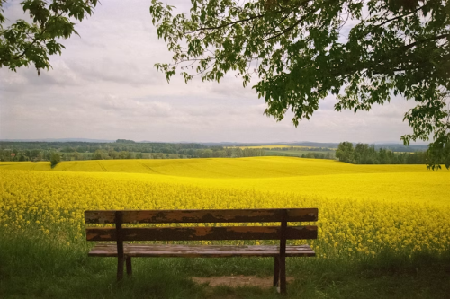 image_1777845434.png
