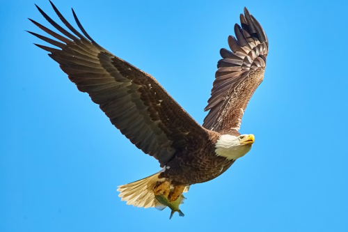 image_1777845780.png