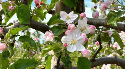 image_1779409173.png