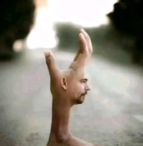 image_1780009738.png