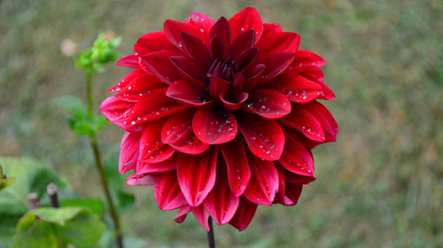 image_1780016044.png