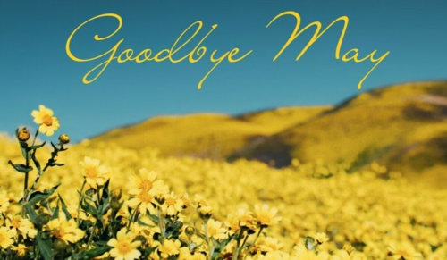 image_1780172133.png