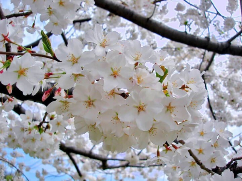 image_1780619575.png