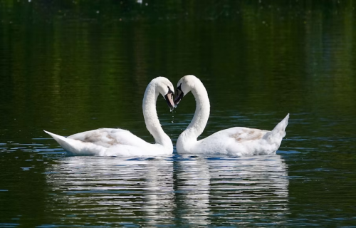 image_1780867329.png