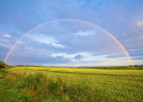image_1780868362.png
