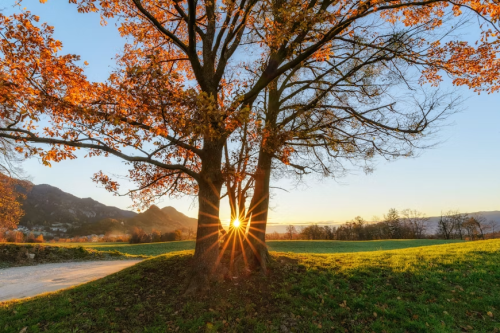 image_1781474513.png