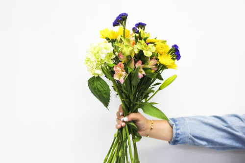 image_1781556969.png