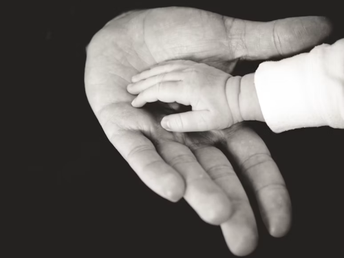 image_1782065018.png