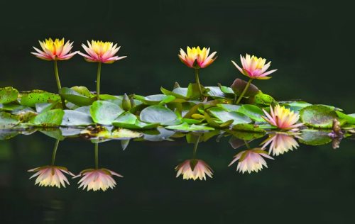 image_1782073885.png