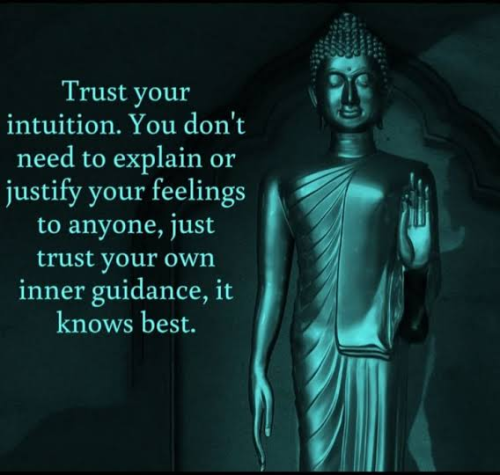 image_1783971635.png