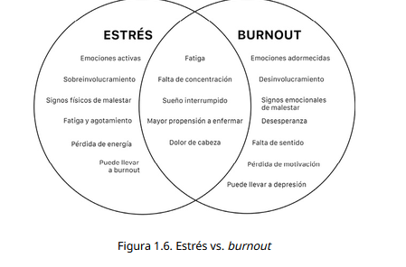 image_1785040338.png