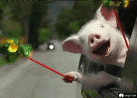 image_1787878673.png