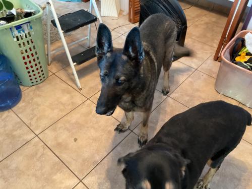 img-0495_1717175371.jpeg