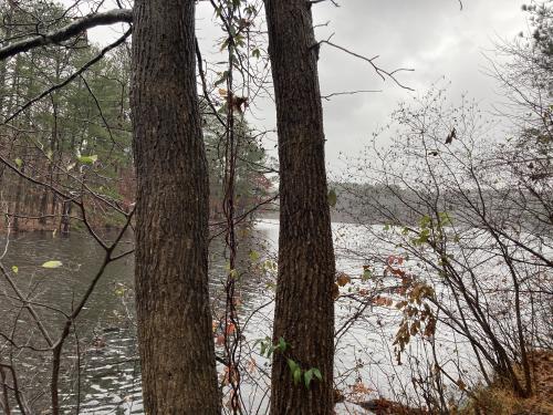 img-0900_1702252704.jpeg