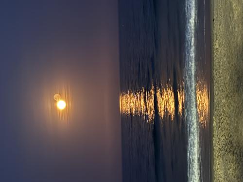 img-1226_1763905333.jpeg