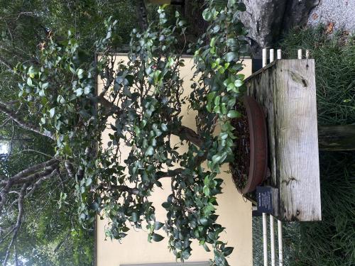 img-1229_1761170034.jpeg