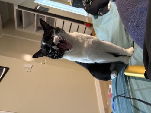 img-1338_1763905299.jpeg