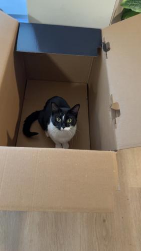 img-1350_1763905269.jpeg