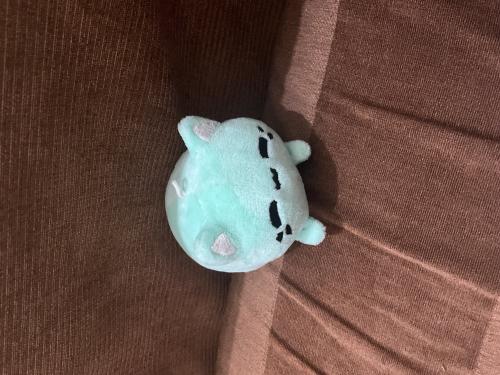 img-1440_1716659127.jpeg