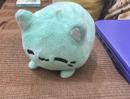 img-1441_1716659343.jpeg