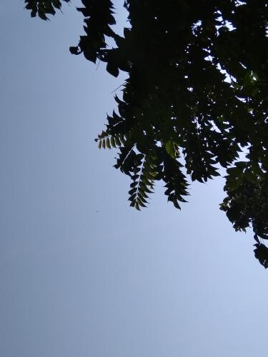 img-20230315-102757_1678935193.jpg