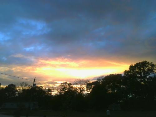 img-20251029-184247_1762313828.jpg