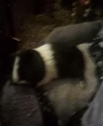 img-20251109-203522_1764109934.jpg