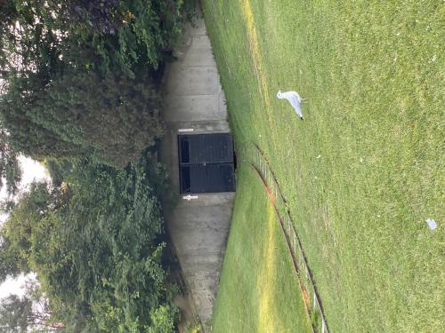 img-2135_1763773111.jpeg