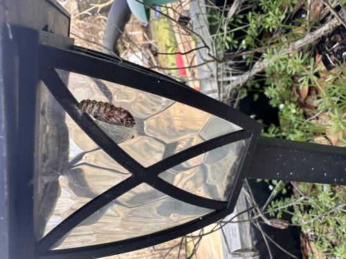 img-2709_1709660168.jpeg