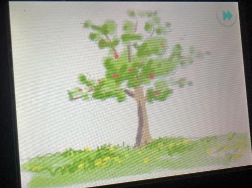 img-2736_1781735656.jpeg