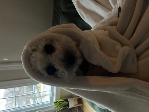 img-2818_1760795716.jpeg