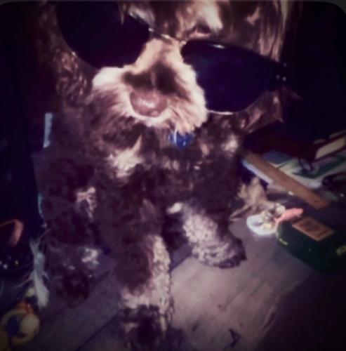 img-2879_1786308107.jpeg