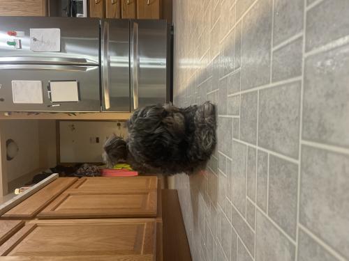 img-2966_1766188165.jpeg