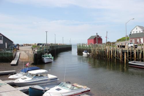 img-4773_1758657919.JPG