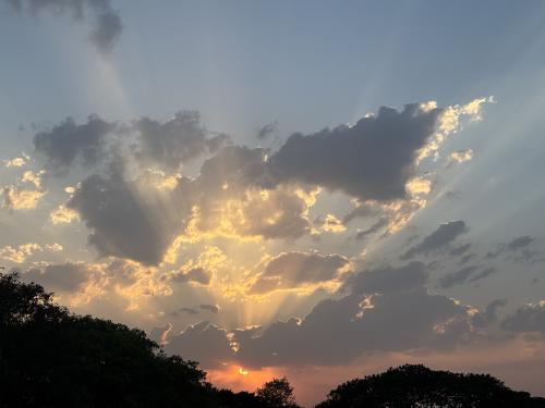 img-7078_1747649198.jpeg