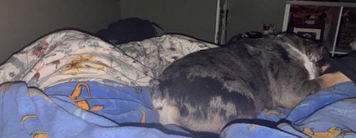 img-7131_1761446453.jpeg