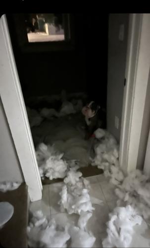 img-7933_1768871648.jpeg