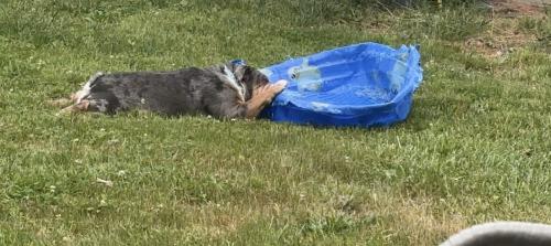 img-9330_1781269056.jpeg