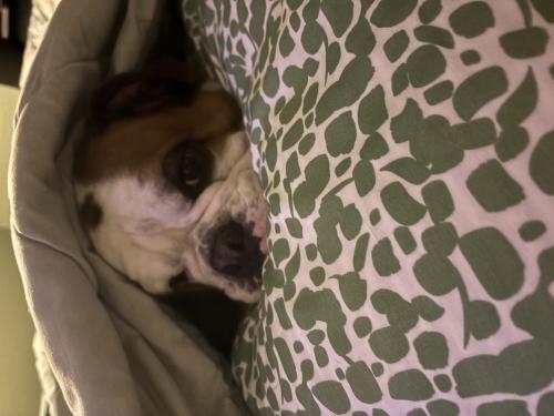 img-9613_1782612873.jpeg