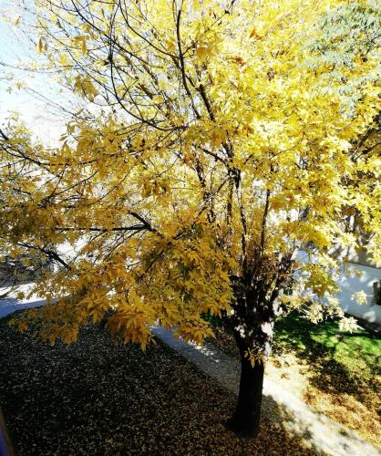 img-jvw4sm_1690991485.jpg